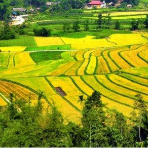 Chiêm Hoá – Mỹ đình
